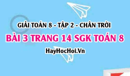 Bài 3 trang 14 Toán 8 Tập 2 Chân trời sáng tạo